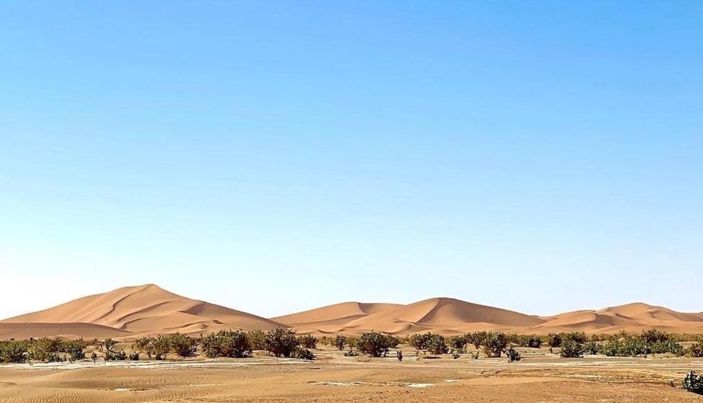 Chegaga Desert Trips Camp M'Hamid Esterno foto