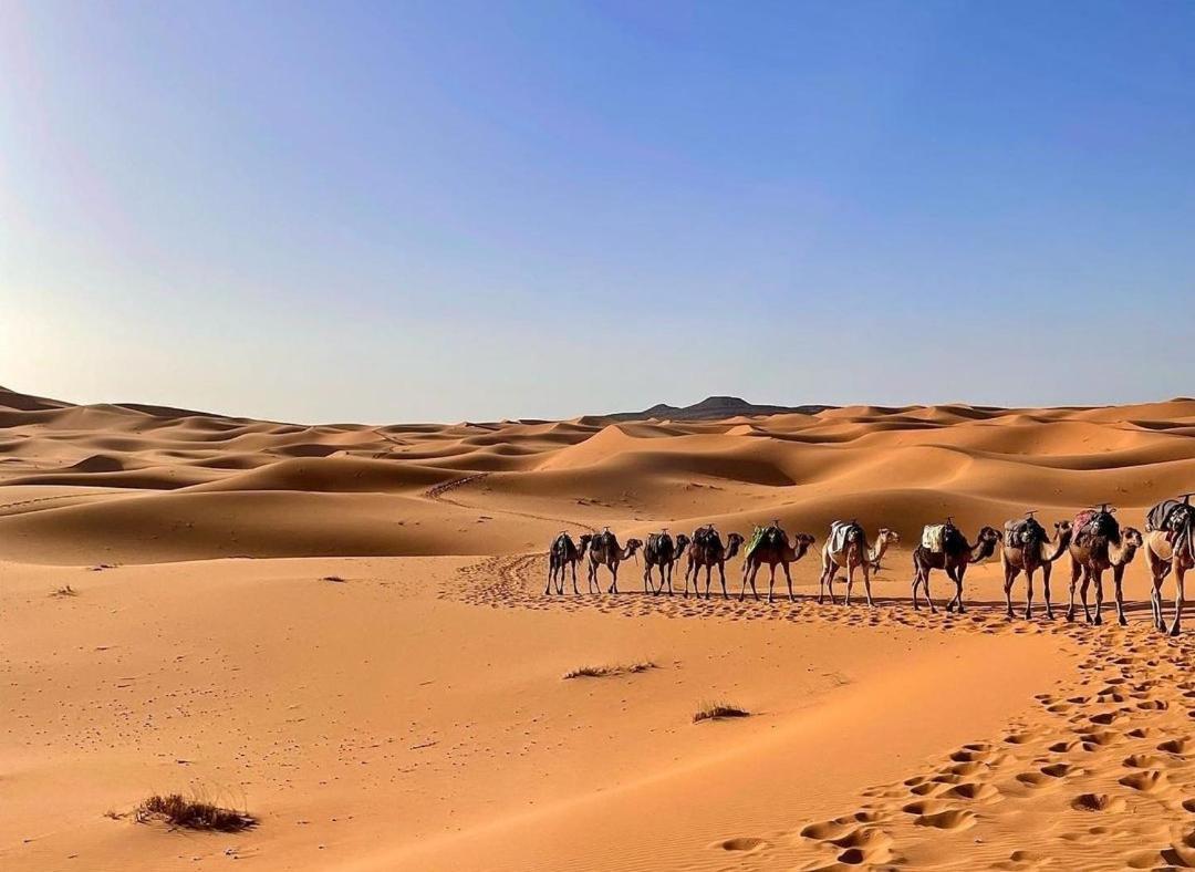 Chegaga Desert Trips Camp M'Hamid Esterno foto